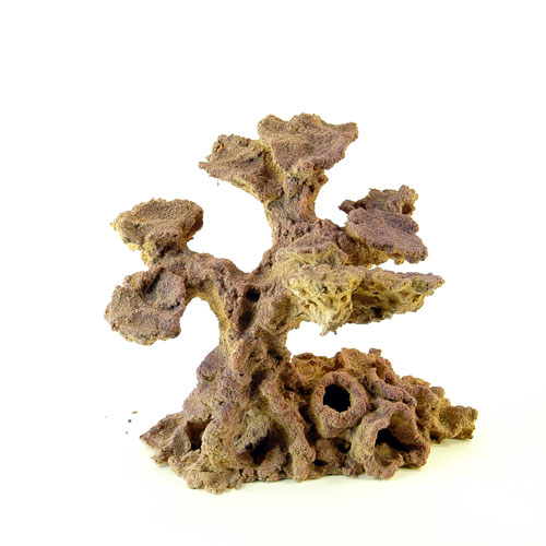 Bonsai