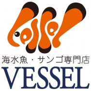 logo1s