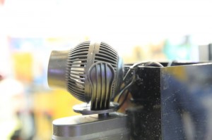 975A65991