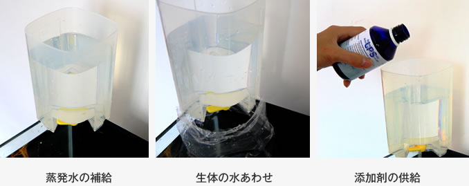 Lss研究所の水足し 水合わせ 添加剤用ドロップボックス Reef Builders Japanese